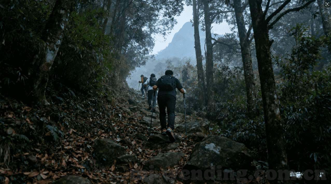开云体育备用网站入口-开云体育备用网站入口，为球迷打造的另一扇门
